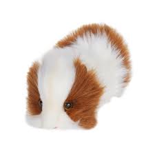 Pin On Cute Critters