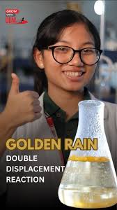 ✨ Witness the magic of chemistry with the “Golden Rain” experiment! ✨ , In  this classic demonstration of a double displacement reaction, we combine  potassium iodide and lead nitrate to create a ...