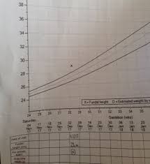 First Fundal Height Measurement Babycenter