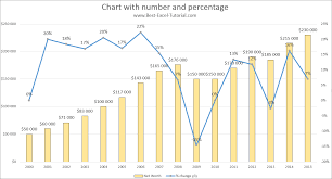 best excel tutorial chart with number and percentage