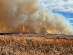 View of the Ranger Road fire in Comanche County, Kansas on Highway 160 this evening. This megafire continues to grow in size, at 283,000 acres — destroying structures. 📸: Emily Brosius/Comanche County Emergency Management.