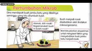 Pengujian pengaruh suhu suhu optimum merupakan suhu pada saat pertumbuhan terbaik mikroorganisme. Tahun 6 Sains Bil 7 Bab 3 Faktor Pertumbuhan Mikroorganisma Buku Teks Kssr Ms 28 31 Youtube