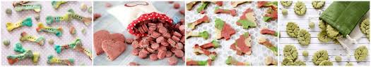 Going to the store for dog food can feel a lot like diving into a colorful warehouse. Using Natural Food Colouring For Homemade Dog Treats Dalmatian Diy