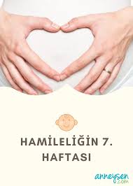 sevgili anne hamileligin 7 haftasindasin yani 2 ayinin icinde gebelikte 7 haftada yeni gelismeler var mi 7 haftalik gebelik hamilelik 20 haftalik gebelik