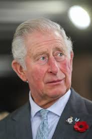 Fleur East has coronavirus concerns after meeting Prince Charles two weeks  ago