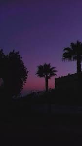 Jan 01, 2001 · into the wilderness book. Niniikaa Sky Aesthetic Landscape Wallpaper Nature Photography