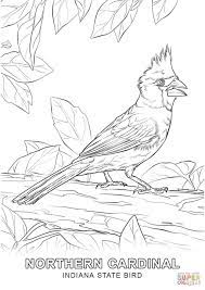 Click The Indiana State Bird Coloring Pages Bird Coloring Pages Animal Coloring Pages Flag Coloring Pages