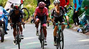 Your 2021 giro d'italia winner. Ypmmglqqgvhzwm