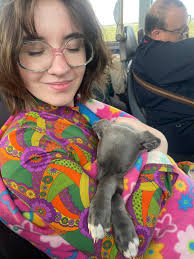 All in a days training! Miss Myrtles future recipient is getting a  superstar. She was brilliant travelling