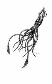 See more ideas about squid tattoo, octopus tattoo, octopus tattoos. 30 Black And White Squid Tattoos
