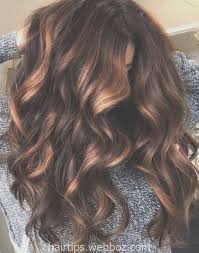 Brown hair with smokey gray highlights. Dark Brown Hair Color Trends For Brunettes Check More At Http Hairtips Webboz Com D Hair Color Burgundy Hair Color Light Brown Brown Hair With Lowlights