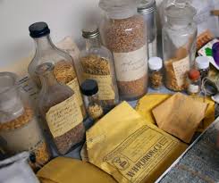 Seed banks are one of the most difficult online. Food For The Future How Canada S Seed Bank Is Protecting Crop Plants For Tomorrow The Channel