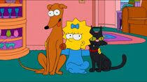 The former leader of the hidden sect is reborn, but when she woke up, all she had was a disfigured face. Santa S Little Helper Simpsons Wiki Fandom