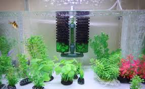 Using a sponge filter is a great way to clean your betta's water without risking damage to his fins. Amazon Com Powkoo Sponge Filter Aquarium Filter Sponge Media Shrimp Betta Breeding Fry Fish Tank Filter With Media Pet Supplies