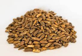 Ad 005 Pine Nuts Chilgoza Price Pkr 1 450 Usd 14 50 Per Half Kg Pkr 2 850 Usd 28 50 Per Kg Dog Food Recipes Food Animals Food