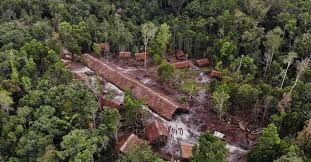 Artikel ini akan membincangkan berkenaan pengambilan ulat sagu sebagai makanan. Betahita Sagu Tanaman Pangan Paling Menjanjikan Yang Diabaikan