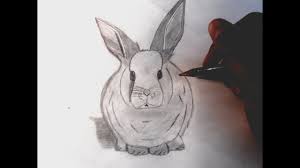 Coloriage lapin realiste dessin gratuit. Comment Dessiner Un Lapin Youtube