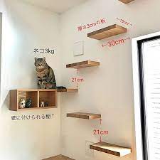 壁 天井 ねこと暮らす 猫のいる暮らし ねこのいる日常 キャットタワー などのインテリア実例 2019 02 01 20 22 58 roomclip ルームクリップ roomclipルームクリップ ママライフ引用 cat walkway cat houses indoor cat room