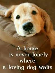 Pin By Radney Smith Funeral Home On Words That Fit Dog Waiting Dog Quotes Dogs Golden Retriever