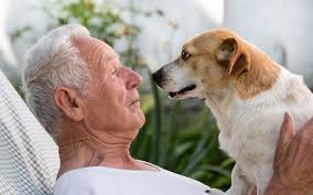And after that, every human year equals approximately four or five years for a dog. Dog Age Calculator Convert Dog Years To Human Years All Things Dogs All Things Dogs