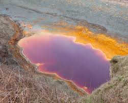 Blood-red pools and surreal discoveries found on our 'Alien' beach |  Chronicle Live