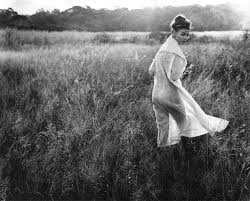 Store 2 — Sam Haskins Photography