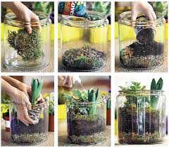 5 Steps To Gorgeous Homemade Terrariums The Boston Globe Plants Diy Plants How To Make Terrariums