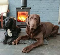 Wood burning in a good, modern stove is. Eco Friendly Wood Burners Fitted By Experts Sussex Woodburners