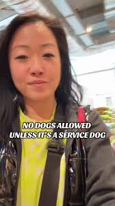 Pug Life: Lulu's Adventure