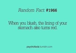 Random Fact Funny Facts Wierd Facts Psychology Facts