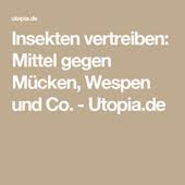 insekten vertreiben mittel gegen mucken wespen und co utopia de hausmittel gegen mucken mittel gegen mucken vertreiben