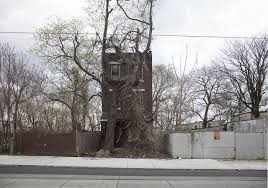 Ben Marcin Philadelphia Pa 2013 Available For Sale Artsy In 2020 Row House Abandoned Houses Fine Art Photographs