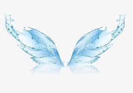 Water Wings Png Transparent Water Water Clipart Water Wings Wing Wings Png Fairy Wings Drawing Wings Art