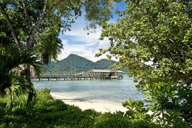 Book bus tickets from kuala lumpur to taman negara online from as low as rm 79.50 | check schedules and book tickets today at busonlineticket.com. 4 Day Taman Negara Adventure From Kuala Lumpur From Viator