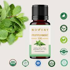 Peppermint essential oil is extracted from a perennial herb named mentha piperita, which is native to the mediterranean regions. Peppermint Essential Oil Peppermint Oil For Hair Peppermint Oil For Skin