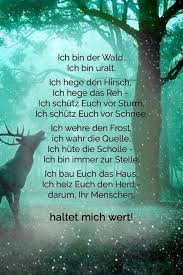 Ich Bin Der Wald Spruche Coole Spruche Inspirierende Spruche