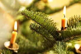 Tips To Prevent Christmas Tree Fires This Holiday Season
