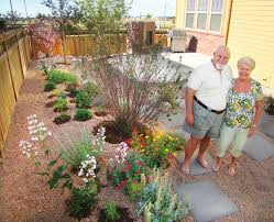 Tall grasses, groundcovers, native plants (like lavender or sage in the. Many Drought Resistant Plants Also Draw Pollinators The Denver Post