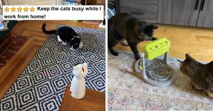 In addition to commercial puzzle feeders, puzzle feeders can be made at home, easily and often very inexpensively. 17 Puzzles On Amazon That Actually Challenge Cats