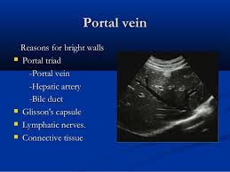 Liver Ultrasound Medical Ultrasound Diagnostic Medical Sonography Ultrasound Sonography
