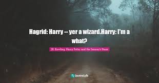 Hearing voices no one else can hear isn't a good sign, even in the wizarding world. — ron weasley. Hagrid Harry Yer A Wizard Harry I M A What Quote By J K Rowling Harry Potter And The Sorcerer S Stone Quoteslyfe