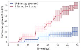 Image result for Physostigma mesoponticum