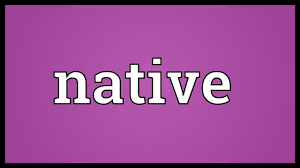 Maybe you would like to learn more about one of these? Native Meaning Youtube