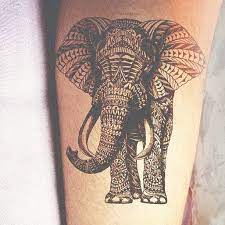 Log In Tumblr Tattoos Elephant Tattoo Design Elephant Tattoos