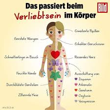 Info Bild Auf Instagram Ob Nun Alle 11 Minuten Oder Liebe Auf Den Ersten Blick Das Passiert Beim Verliebtsein Im Korper Verliebt Fruhlingsge