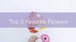 We did not find results for: The Top 5 Best Flowers