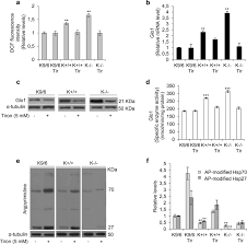Krit1 Loss Of Function Induces A Chronic Nrf2 Mediated Adaptive Homeostasis That Sensitizes Cells To Oxidative Stress Implication For Cerebral Cavernous Malformation Disease Abstract Europe Pmc