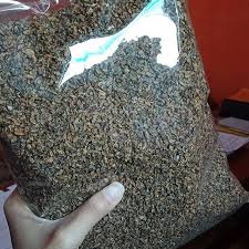 Rumput laut disebut juga sayuran laut atau marine vegetables. Kupang Kering Ncus 1kg Sambal Pettis Makanan Olahan Laut Asli Lontong Balap Kupang Shopee Indonesia