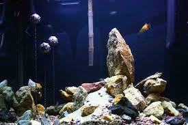 Floating Aquarium Decorations Fish Tank Decorations Fish Tank Aquarium Decorations