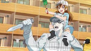 Hataraku Saibou Tumblr Manga Cell Anime Shows